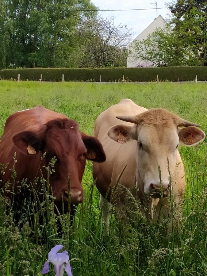La Chaussee D'Olivet En Mayenne エクステリア 写真