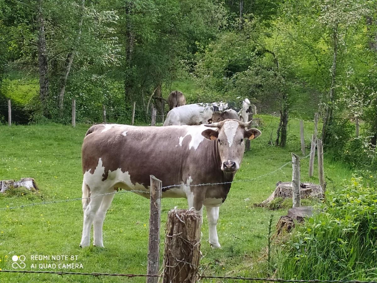 La Chaussee D'Olivet En Mayenne エクステリア 写真