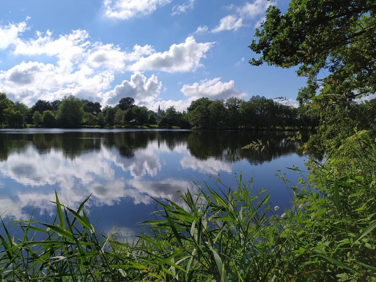 La Chaussee D'Olivet En Mayenne エクステリア 写真