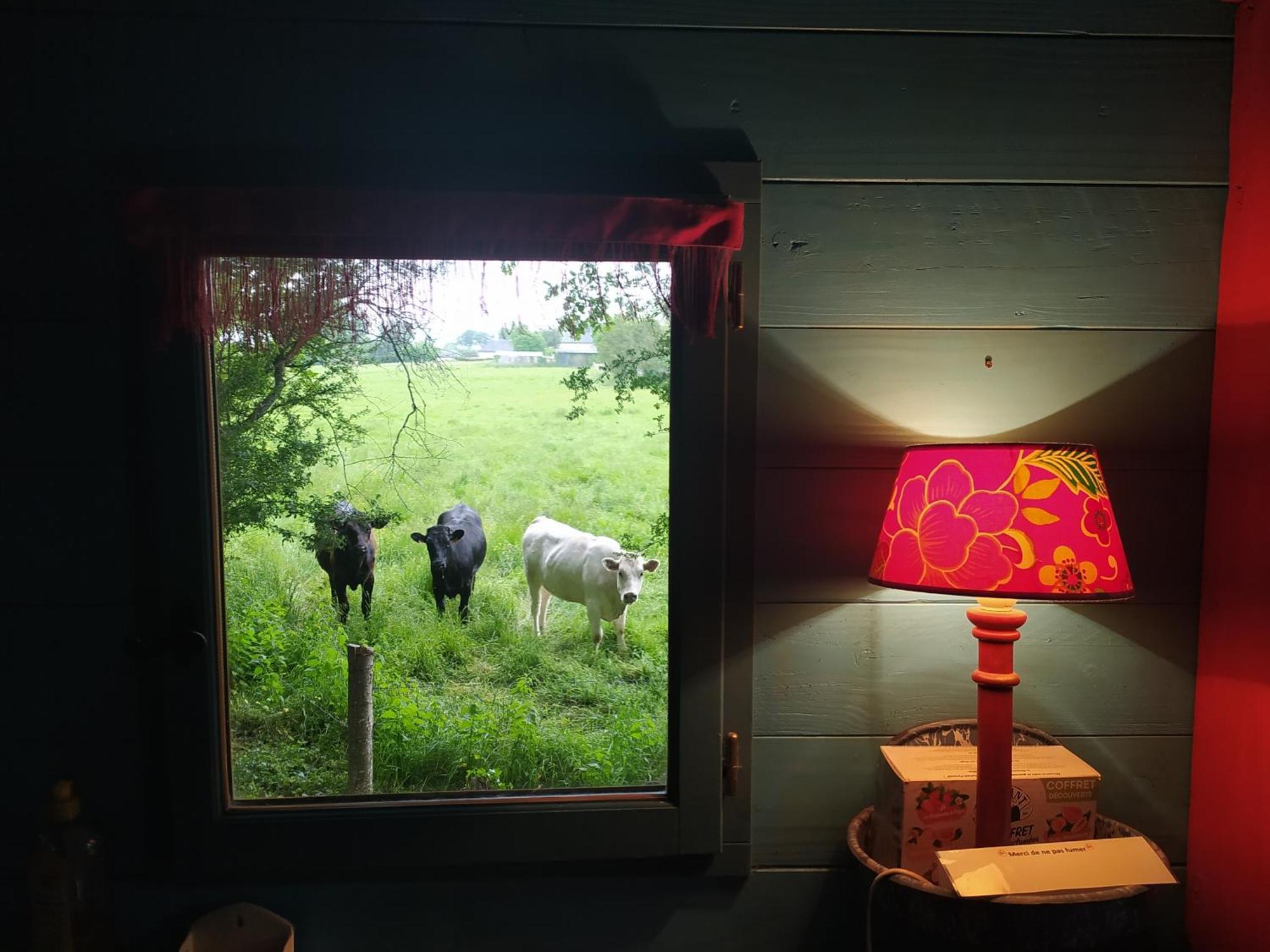 La Chaussee D'Olivet En Mayenne 部屋 写真